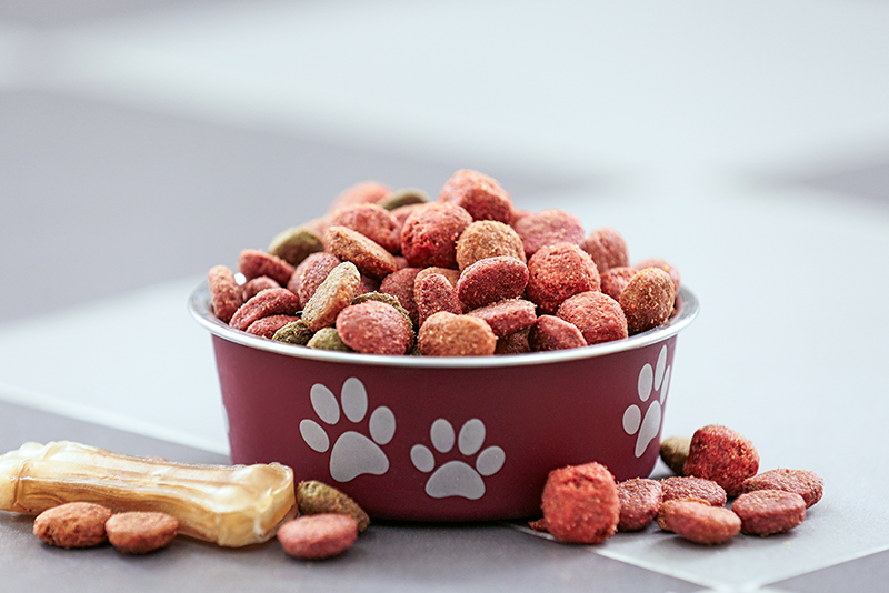 From Kibble to Treats: Nourishing Your Dog with Love