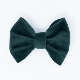 Limited Edition Velvet Evergreen Classic Dog Bow Tie