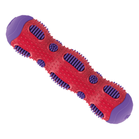 Toothbrush Stick