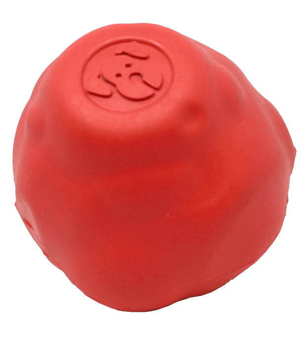 SN Asteroid Ultra Durable Rubber Chew Toy