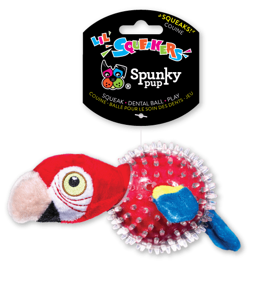 Parrot in Clear Spiky Ball