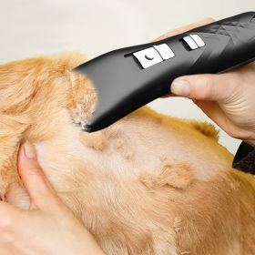 Black Dog Shaver