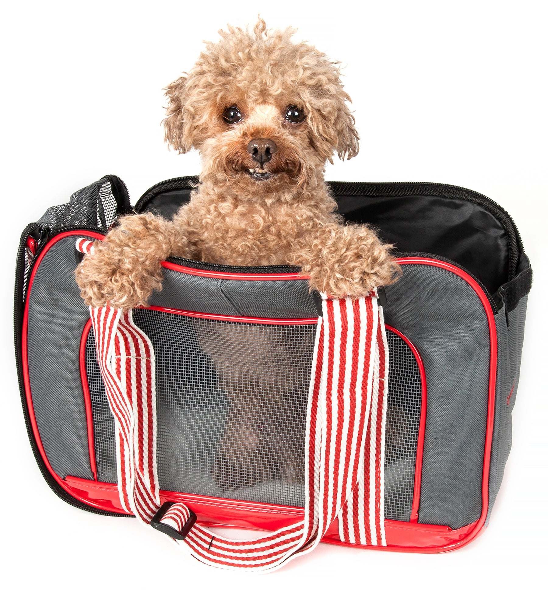 Pet Life Fashion Pet Carrier with Candy Cane Straps