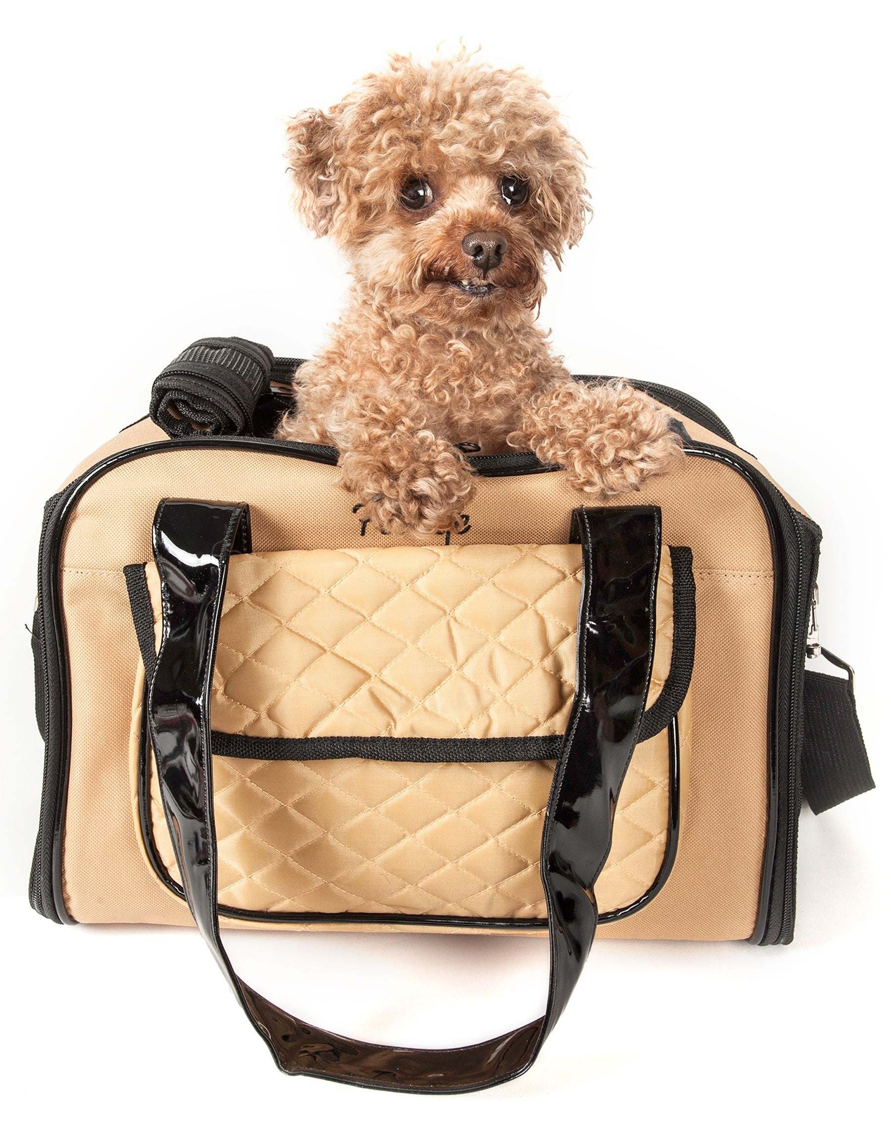 Pet Life Airline Approved Mystique Pet Carrier