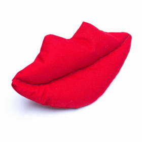 Big Red Lips Dog Toy