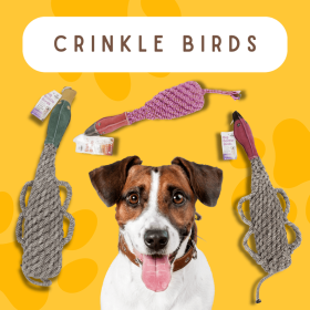 crinkle with squeaker (Type: duck)