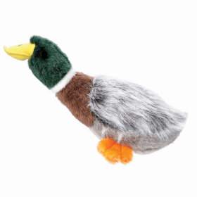 GR Squawk Flock (Type: mallard)