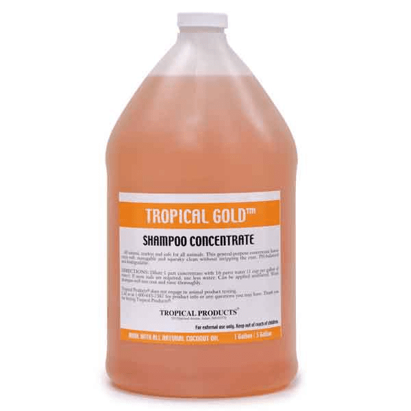 TA Shampoo Gal (Type: Gold)
