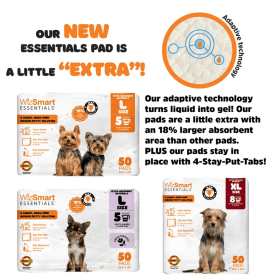 WizSmart Essentials Pads (scent: charcoal)