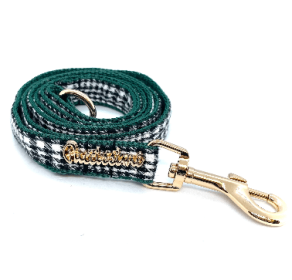 dog leash (Type: Fern)