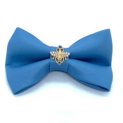 bow tie (name: Maya)