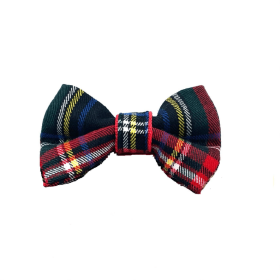 bow tie (name: Caregie)