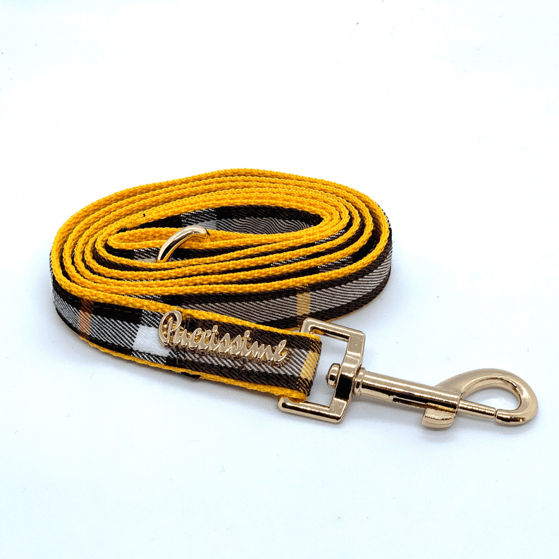 dog leash (Type: Medallion)