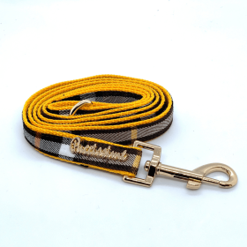 dog leash (Type: Medallion)