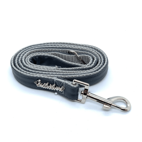 dog leash (Type: Shadow)