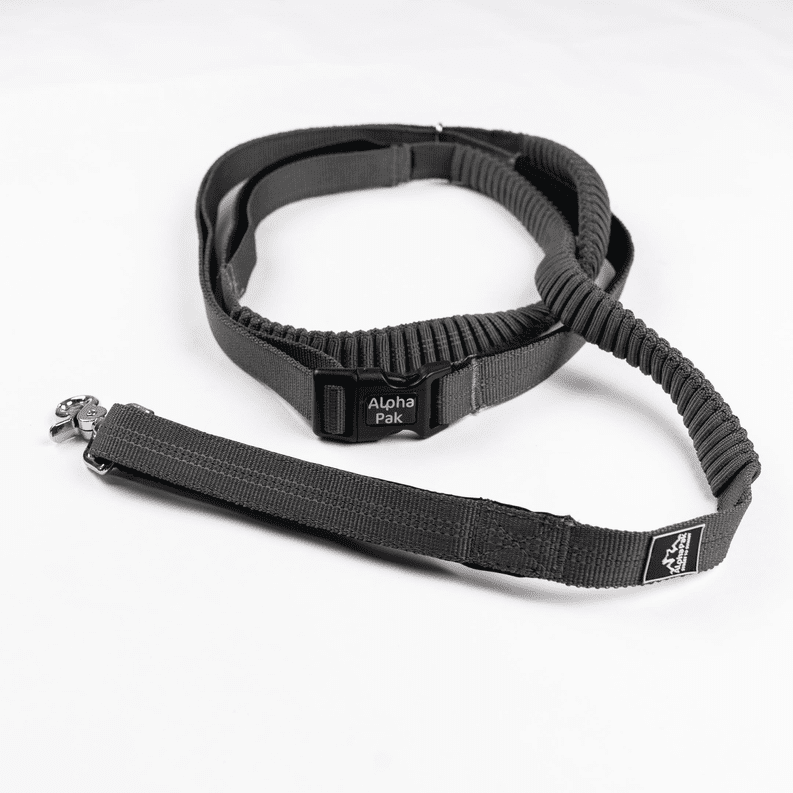 Cascades Stretchable Runner Dog Leash (Color: graphite)