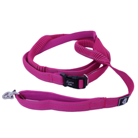 Cascades Stretchable Runner Dog Leash (Color: plum boysenberry)