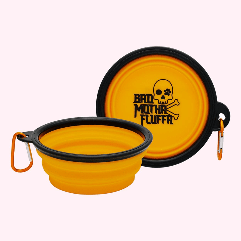 Statement Dog Bowl (statement: "Bad Motha Fluffa" Orange)