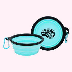 Statement Dog Bowl (statement: "Place Steak Here" Aqua)