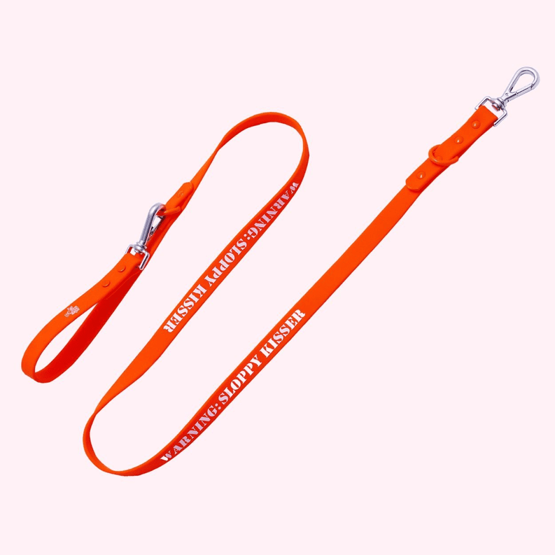 Leash Statement (statement/color: "Warning)