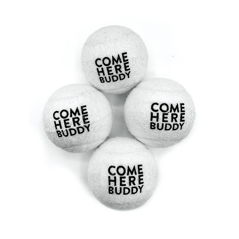 Set of 4 Come Here Buddy Tennis Balls (Color: White)