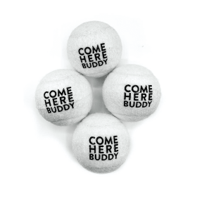 Set of 4 Come Here Buddy Tennis Balls (Color: White)