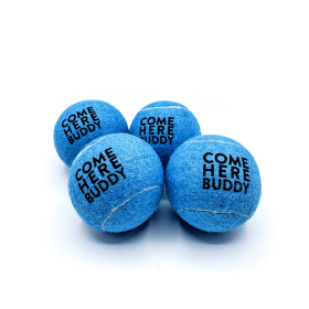 Set of 4 Come Here Buddy Tennis Balls (Color: Sky Blue)