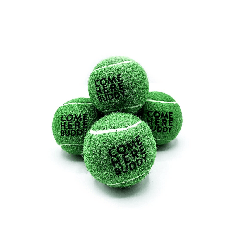 Set of 4 Come Here Buddy Tennis Balls (Color: Green)