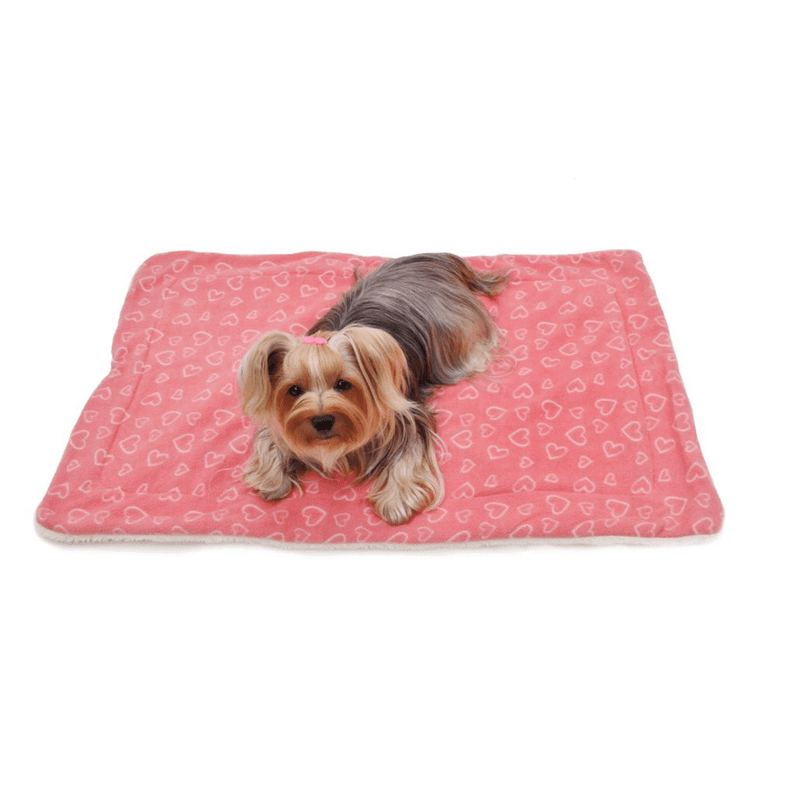 Fleece/Plush Blanket (Type: Blush of Love)