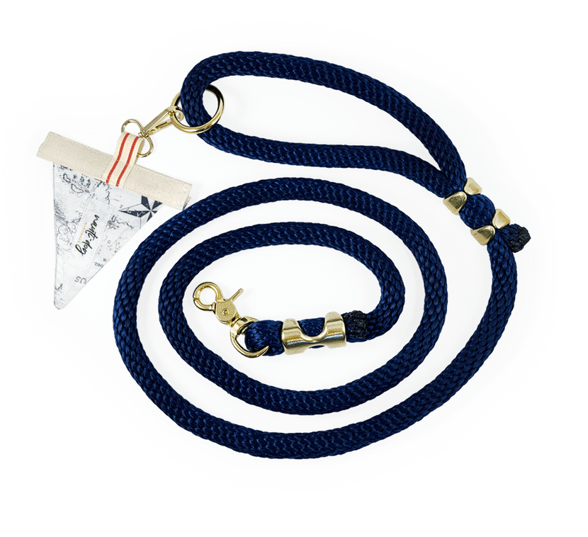 Carta Marina  Vintage Nautical Toile Premium Rope Leash (tag: light)