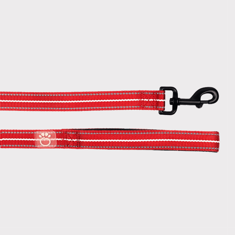 GF Pet  Reflective Leash (Color: Red, size: XS/Small)