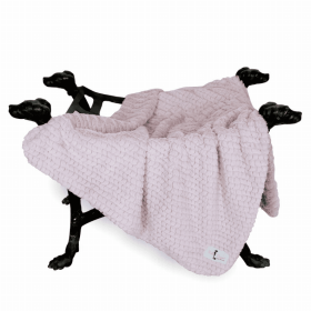 Paris Dog Blanket (Color: Rosewater, size: small)