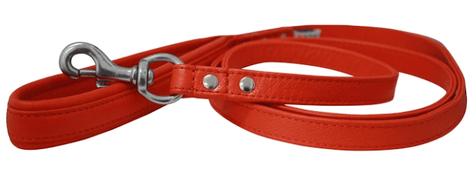 Leather Padded Handle Leash (Alpine) by Angel 72" X 3/4" (Color: goldfish orange)