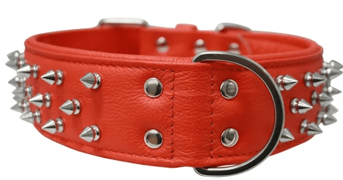 Amsterdam Dog Collar by Angel Multi Line Spiked Collar (Option: 26" X 2", Goldfish Orange)