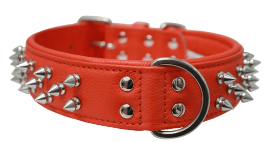 Amsterdam Dog Collar by Angel Multi Line Spiked Collar (Option: 22" X 1.5" , Goldfish Orange)