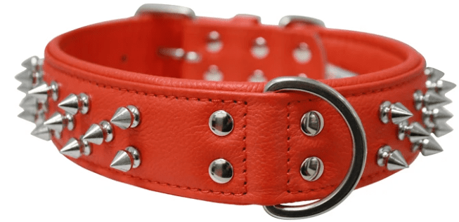 Amsterdam Dog Collar by Angel Multi Line Spiked Collar (Option: 24" X 1.5" , Goldfish Orange)