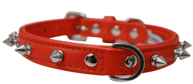 Rotterdam Spiked Dog Collar by Angel (color/size: 14" X 3/4" , Goldfish Orange)