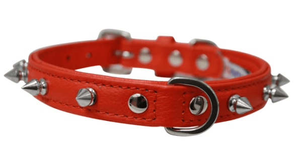 Rotterdam Spiked Dog Collar by Angel (color/size: 16" X 3/4" , Goldfish Orange)