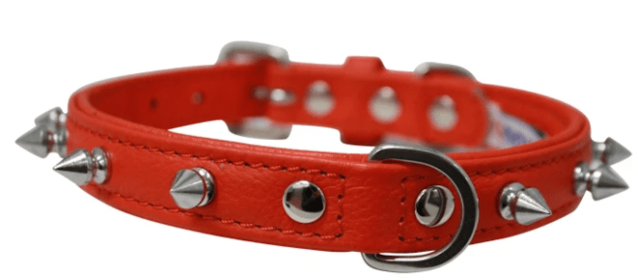 Rotterdam Spiked Dog Collar by Angel (color/size: 18" X 3/4" , Goldfish Orange)