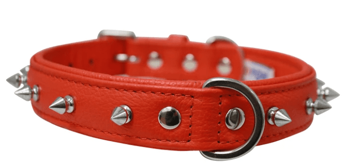Rotterdam Spiked Dog Collar by Angel (color/size: 22" X 1" , Goldfish Orange)