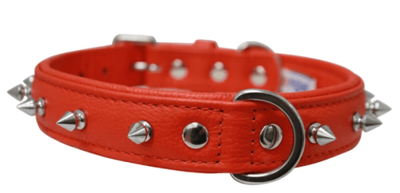 Rotterdam Spiked Dog Collar by Angel (color/size: 22" X 1" , Goldfish Orange)
