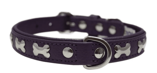 Rotterdam Bones Dog Collar by Angel (color/size: 14" X 3/4" , Orchid Purple)