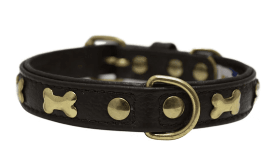 Rotterdam Bones Dog Collar by Angel (color/size: 16" X 3/4" , Chocolate Brown)