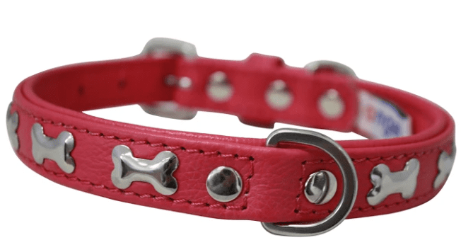 Rotterdam Bones Dog Collar by Angel (color/size: 16" X 3/4" , Hot Pink)