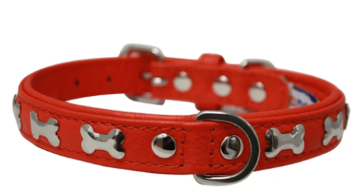 Rotterdam Bones Dog Collar by Angel (color/size: 16" X 3/4" , Goldfish Orange)