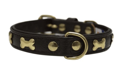Rotterdam Bones Dog Collar by Angel (color/size: 18" X 3/4" , Chocolate Brown)