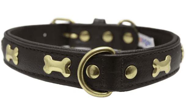 Rotterdam Bones Dog Collar by Angel (color/size: 22" X 1" , Chocolate Brown)