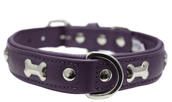 Rotterdam Bones Dog Collar by Angel (color/size: 22" X 1" , Orchid Purple)