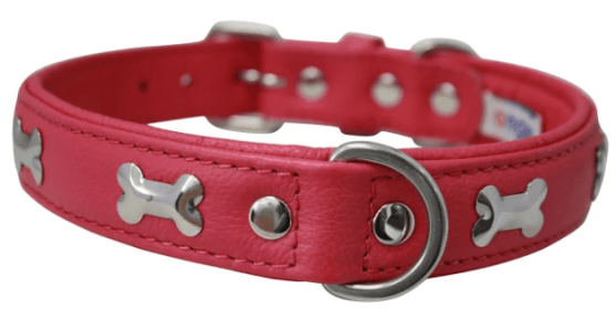 Rotterdam Bones Dog Collar by Angel (color/size: 22" X 1" , Hot Pink)