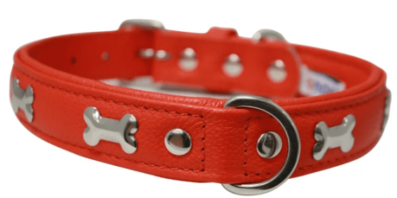 Rotterdam Bones Dog Collar by Angel (color/size: 22" X 1" , Goldfish Orange)
